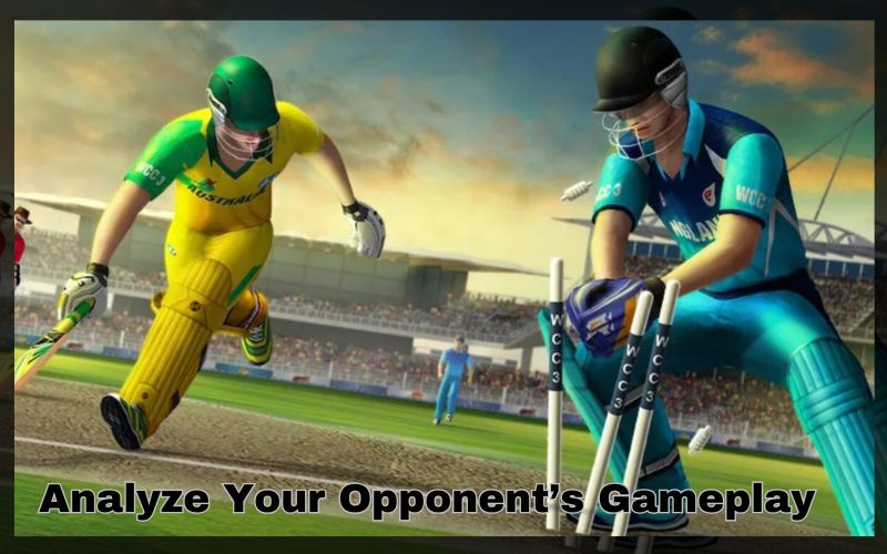 real cricket game