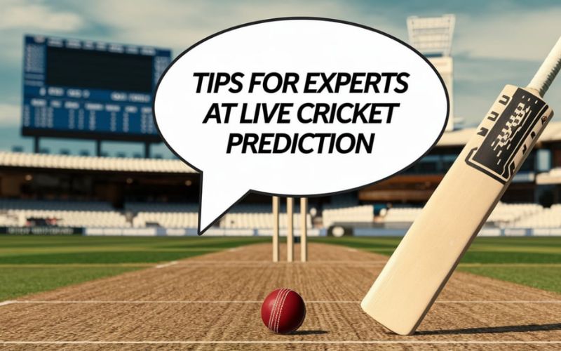 live cricket prediction game